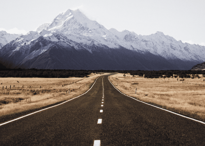 Members & newsletter banner